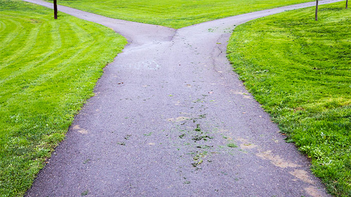Park path that splits and goes to right and left with no information regarding what lies in eitehr direction